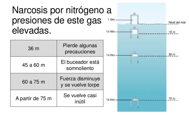 buceo narcosis de nitrogeno a presiones de este gas elevadas -